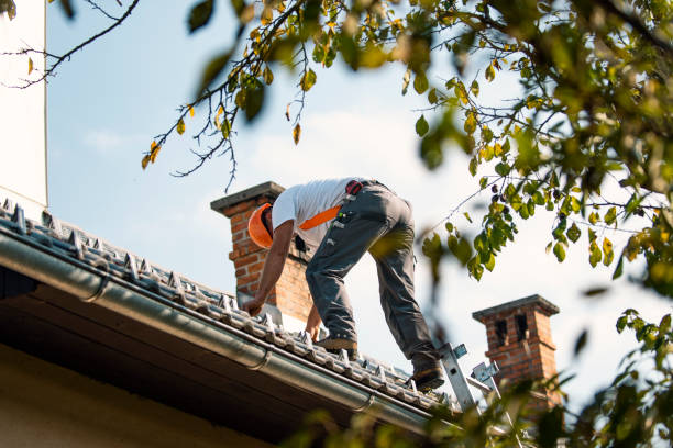 Best Roof Leak Repair  in Charlevoix, MI