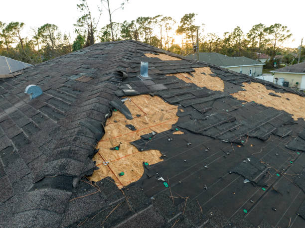 Best Solar Panel Roofing Installation  in Charlevoix, MI