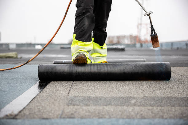 Best Solar Panel Roofing Installation  in Charlevoix, MI