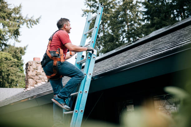Best Asphalt Shingles Roofing  in Charlevoix, MI
