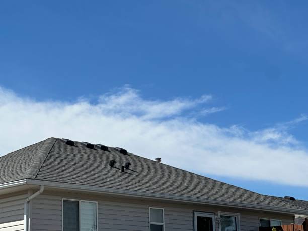Best Sheet Metal Roofing  in Charlevoix, MI