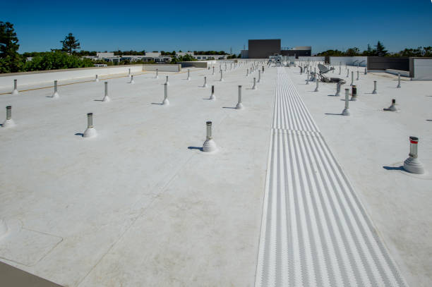 Best Hot Roofs  in Charlevoix, MI
